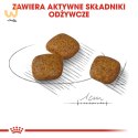 ROYAL CANIN Mini Urinary Care CCN - sucha karma dla psa - 1kg