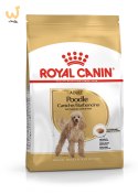 ROYAL CANIN Poodle 1,5kg