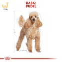 ROYAL CANIN Poodle 1,5kg