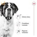 ROYAL CANIN SHN Giant Adult - sucha karma dla psa dorosłego - 15 kg