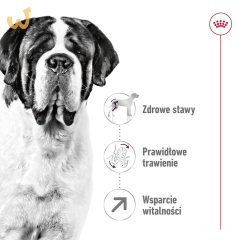 ROYAL CANIN SHN Giant Adult - sucha karma dla psa dorosłego - 15 kg ROYAL CANIN SHN Giant Adult - sucha karma dla psa dorosłego - 15 kg