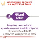 ROYAL CANIN SHN Giant Adult - sucha karma dla psa dorosłego - 15 kg