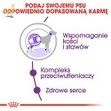 ROYAL CANIN SHN Giant Adult - sucha karma dla psa dorosłego - 15 kg