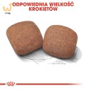ROYAL CANIN SHN Giant Adult - sucha karma dla psa dorosłego - 15 kg