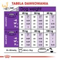 ROYAL CANIN SHN Giant Adult - sucha karma dla psa dorosłego - 15 kg