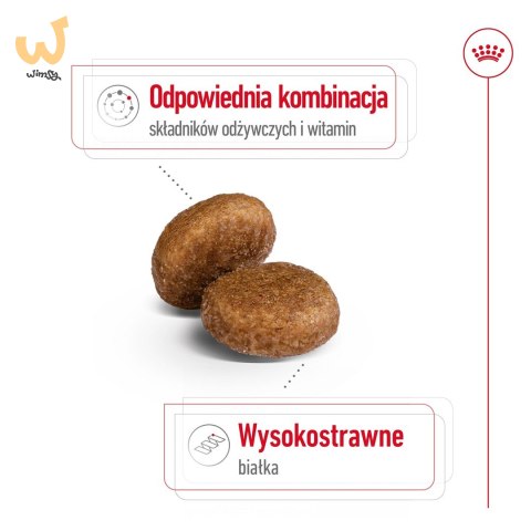 ROYAL CANIN SHN Maxi Adult 5+ - sucha karma dla psa dorosłego - 15 kg ROYAL CANIN SHN Maxi Adult 5+ - sucha karma dla psa dorosłego - 15 kg