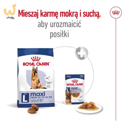 ROYAL CANIN SHN Maxi Adult 5+ - sucha karma dla psa dorosłego - 15 kg ROYAL CANIN SHN Maxi Adult 5+ - sucha karma dla psa dorosłego - 15 kg