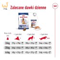 ROYAL CANIN SHN Maxi Adult 5+ - sucha karma dla psa dorosłego - 15 kg