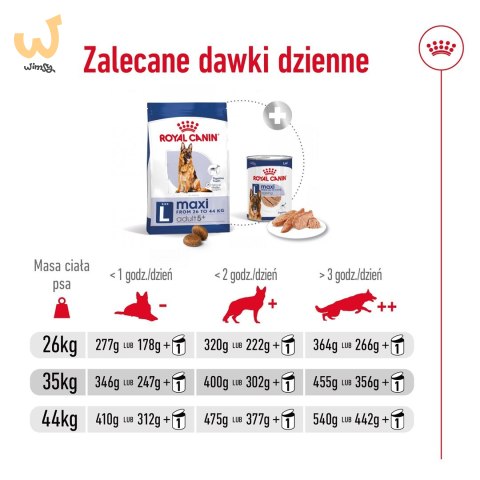 ROYAL CANIN SHN Maxi Adult 5+ - sucha karma dla psa dorosłego - 15 kg ROYAL CANIN SHN Maxi Adult 5+ - sucha karma dla psa dorosłego - 15 kg