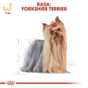 ROYAL CANIN Yorkshire Terrier 0,5kg