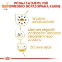 Royal Canin BHN Chihuahua Adult - sucha karma dla psa dorosłego - 1,5kg