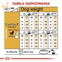Royal Canin BHN Chihuahua Adult - sucha karma dla psa dorosłego - 1,5kg