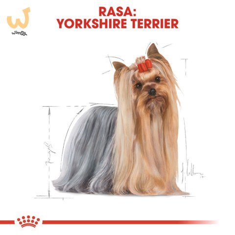 Royal Canin BHN Yorkshire Terrier Adult - sucha karma dla psa dorosłego - 1,5 kg Royal Canin BHN Yorkshire Terrier Adult - sucha karma dla psa dorosłego - 1,5 kg