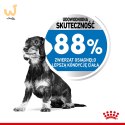 Royal Canin CCN MINI LIGHT WEIGHT CARE - sucha karma dla psa dorosłego - 3kg
