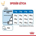 Royal Canin CCN MINI LIGHT WEIGHT CARE - sucha karma dla psa dorosłego - 3kg