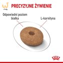 Royal Canin CCN MINI LIGHT WEIGHT CARE - sucha karma dla psa dorosłego - 3kg