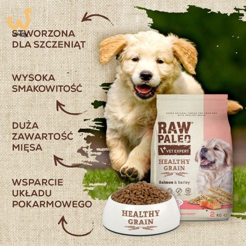 VetExpert Raw Paleo Healthy Grain Salmon&Barley Puppy - Karma sucha dla psów - 2kg VetExpert Raw Paleo Healthy Grain Salmon&Barley Puppy - Karma sucha dla psów - 2kg