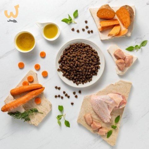 VetExpert Raw Paleo Ultra Indyk Medium&Large Adult 2kg VetExpert Raw Paleo Ultra Indyk Medium&Large Adult 2kg