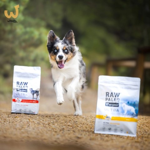VetExpert Raw Paleo Ultra Indyk Medium&Large Puppy 2kg VetExpert Raw Paleo Ultra Indyk Medium&Large Puppy 2kg