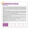 VetExpert Veterinary Diet Dermatosis dog Lamb&Krill 12kg