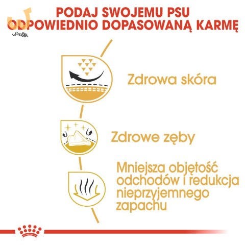 ROYAL CANIN BHN Shih Tzu Adult - sucha karma dla psa dorosłego - 7,5kg ROYAL CANIN BHN Shih Tzu Adult - sucha karma dla psa dorosłego - 7,5kg