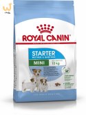 ROYAL CANIN Starter Mini Mother & Babydog - sucha karma dla szczeniąt i suk w ciąży oraz okresie laktacji - 1 kg