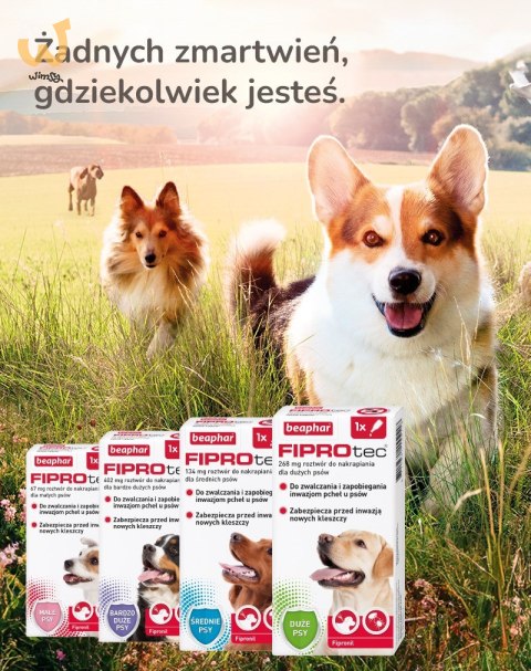 Beaphar FIPROtec Krople dla psa L 268mg x1 Beaphar FIPROtec Krople dla psa L 268mg x1