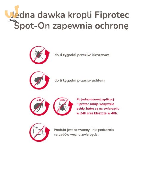 Beaphar FIPROtec Krople dla psa L 268mg x1 Beaphar FIPROtec Krople dla psa L 268mg x1