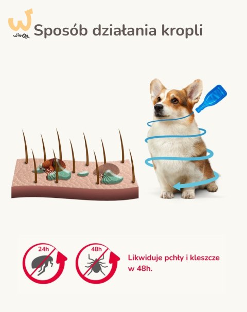 Beaphar FIPROtec Krople dla psa L 268mg x1 Beaphar FIPROtec Krople dla psa L 268mg x1