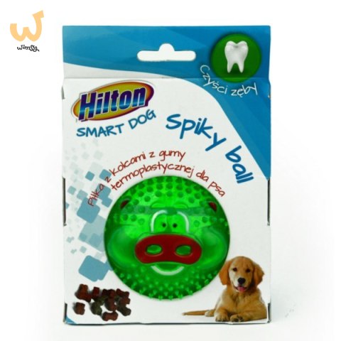 HILTON Dog Spiky Ball mix kolor piłka z kolcami 8cm dla psa HILTON Dog Spiky Ball mix kolor piłka z kolcami 8cm dla psa