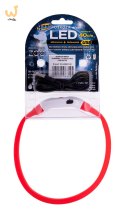 HILTON LED Obroża Silikonowa 1,4x0,8x40cm z USB dla psa