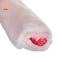 MACED Hot Dog - przysmak dla psa - 10 cm - 1 szt.