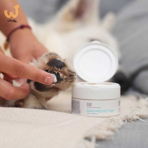 VetExpert Paw Protection - Pielęgnacja dla psów i kotów - 75ml VetExpert Paw Protection - Pielęgnacja dla psów i kotów - 75ml