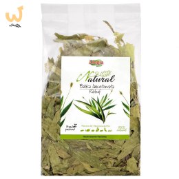ALEGIA Babka Lancetowata 100g