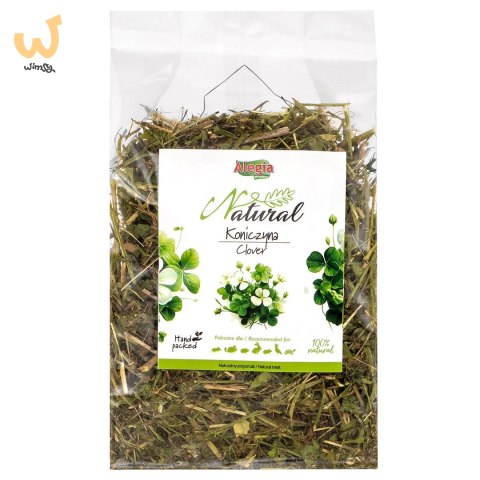 ALEGIA Natural Koniczyna suszona 100g ALEGIA Natural Koniczyna suszona 100g