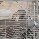 FERPLAST Furet Tower - klatka dla fretek