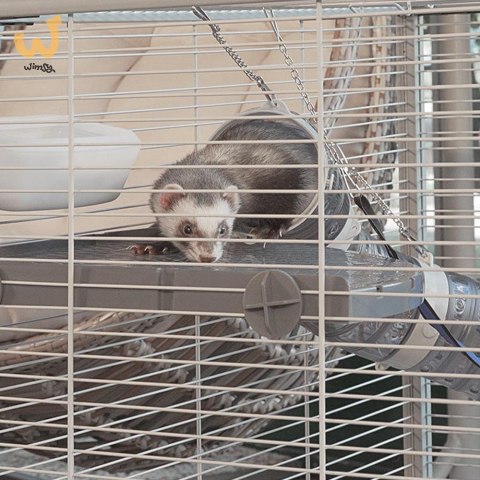 FERPLAST Furet Tower - klatka dla fretek FERPLAST Furet Tower - klatka dla fretek
