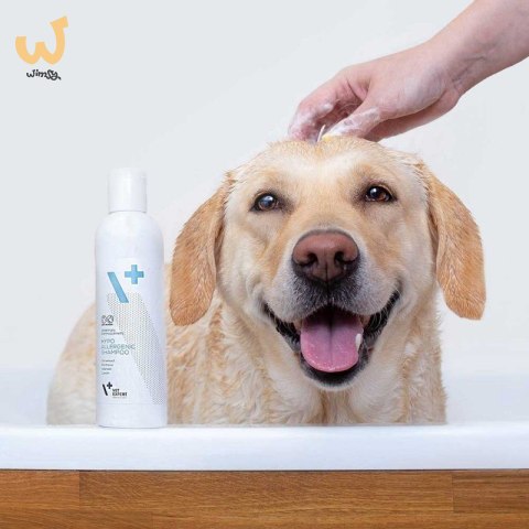 VetExpert Hypoallergenic Shampoo - Pielęgnacja dla psów i kotów - 250ml VetExpert Hypoallergenic Shampoo - Pielęgnacja dla psów i kotów - 250ml
