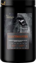 BIOFEED Horse&Pony Electrolytes - rozpuszczalne w wodzie elektrolity 900g