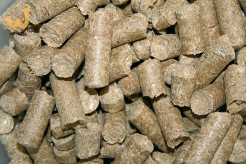 KERBL Smakołyki dla konia Delizia Classic, lukrecja, 1 kg KERBL Smakołyki dla konia Delizia Classic, lukrecja, 1 kg