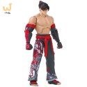 GAME DIMENSIONS TEKKEN - JIN KAZAMA
