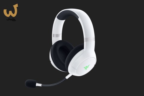 Razer Kaira Pro Headset