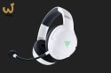 Razer Kaira Pro Headset