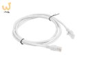 Patchcord UTP Lanberg PCU5-10CC-0150-S (RJ45 - RJ45 ; 1,5m; UTP; kat. 5e; kolor szary)