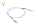 Patchcord UTP Lanberg PCU6-10CC-0100-S (RJ45 - RJ45 ; 1m; UTP; kat. 6; kolor szary)