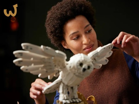 LEGO Harry Potter 76391 Ikony - Hogwartu Edycja Kolekcjonerska LEGO Harry Potter 76391 Ikony - Hogwartu Edycja Kolekcjonerska